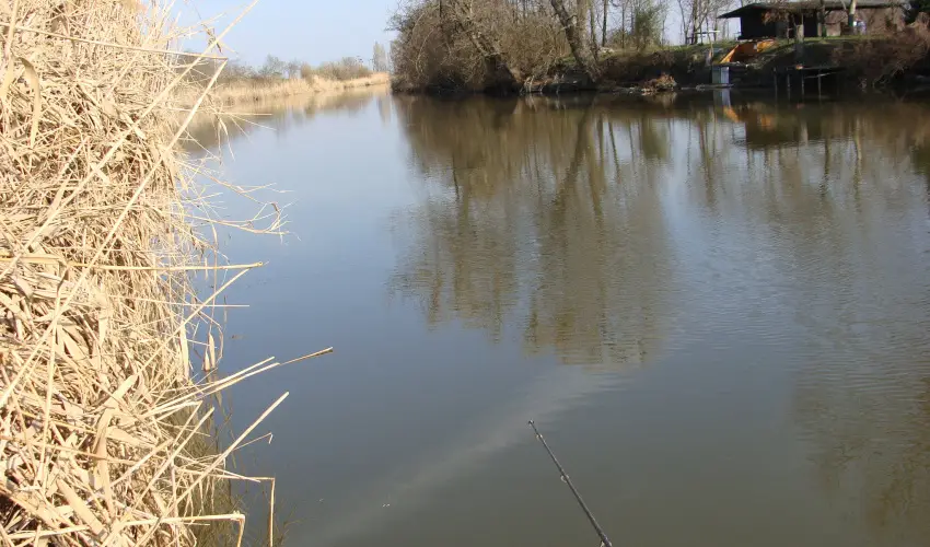 Nyugi Tanya Magyarts - Oktber 23. (min. 2 j)