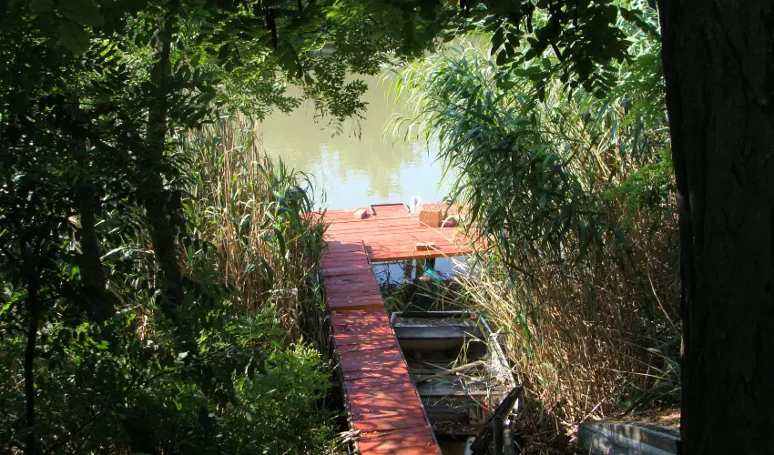 Nyugi Tanya Magyarts - Oktber 23. (min. 2 j)