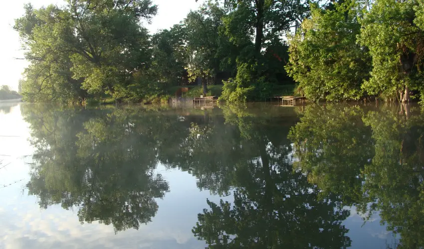 Nyugi Tanya Magyarts - Oktber 23. (min. 2 j)