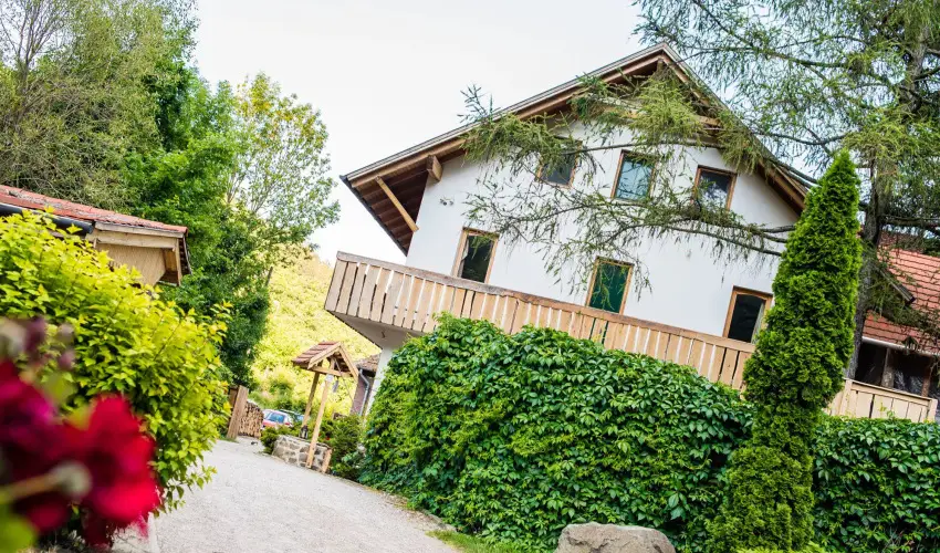 ko-Park Panzi Szarvask - Oktber 23. (min. 2 j)