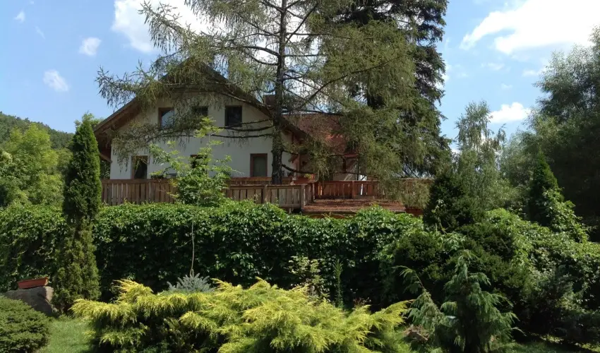 ko-Park Panzi Szarvask - Oktber 23. (min. 2 j)