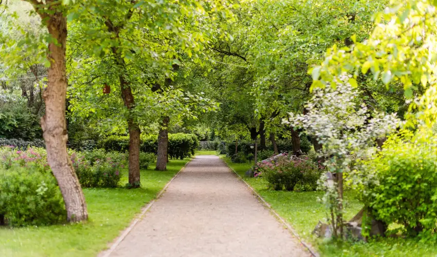 ko-Park Panzi Szarvask - Oktber 23. (min. 2 j)