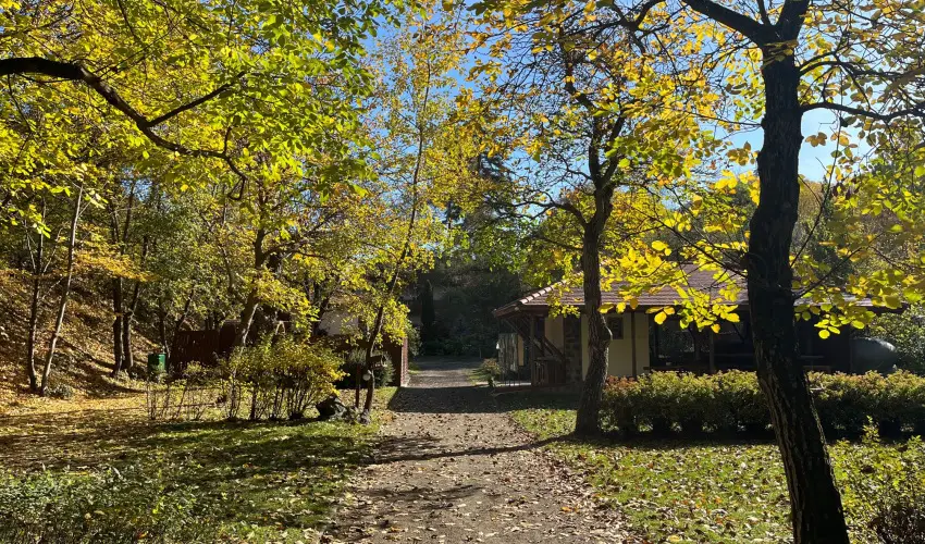 ko-Park Panzi Szarvask - Oktber 23. (min. 2 j)