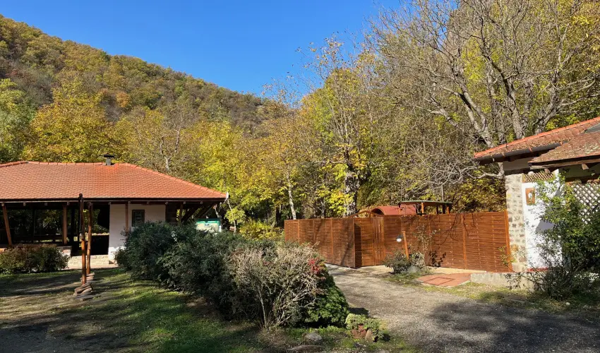 ko-Park Panzi Szarvask - Oktber 23. (min. 2 j)