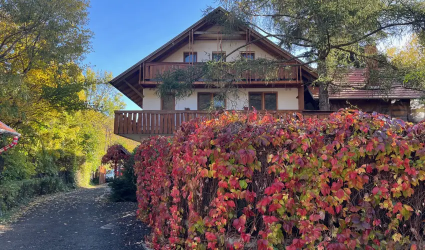 ko-Park Panzi Szarvask - Oktber 23. (min. 2 j)