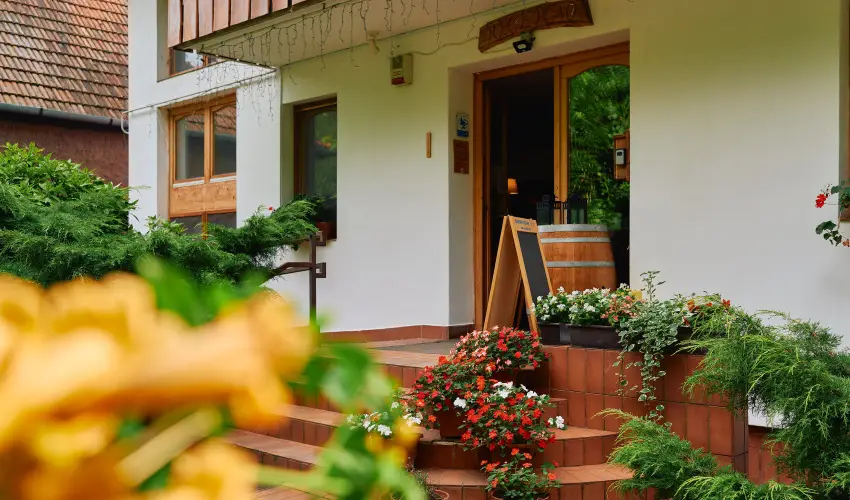 ko-Park Panzi Szarvask - Oktber 23. (min. 2 j)