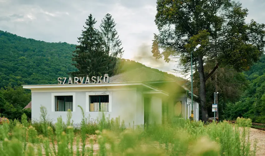 ko-Park Panzi Szarvask - Oktber 23. (min. 2 j)