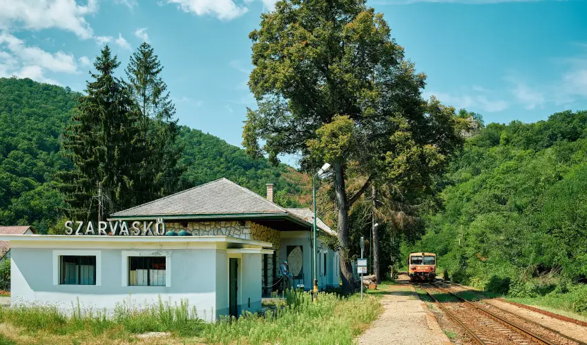 ko-Park Panzi Szarvask - Oktber 23. (min. 2 j)