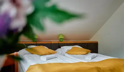 ko-Park Panzi Szarvask