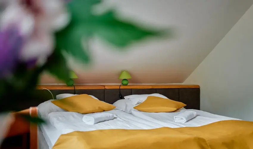 ko-Park Panzi Szarvask - Oktber 23. (min. 2 j)