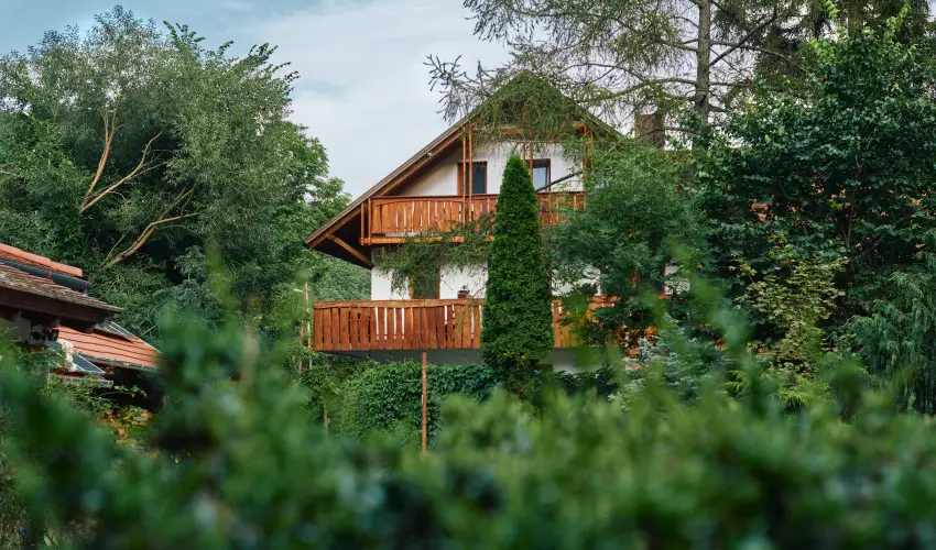 ko-Park Panzi Szarvask - Oktber 23. (min. 2 j)