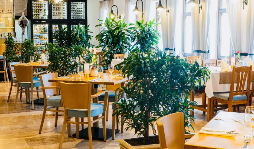 reg Halsz tterem s Fogad Tt - Oktber 23.