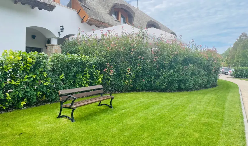 reg Halsz tterem s Fogad Tt - Oktber 23.