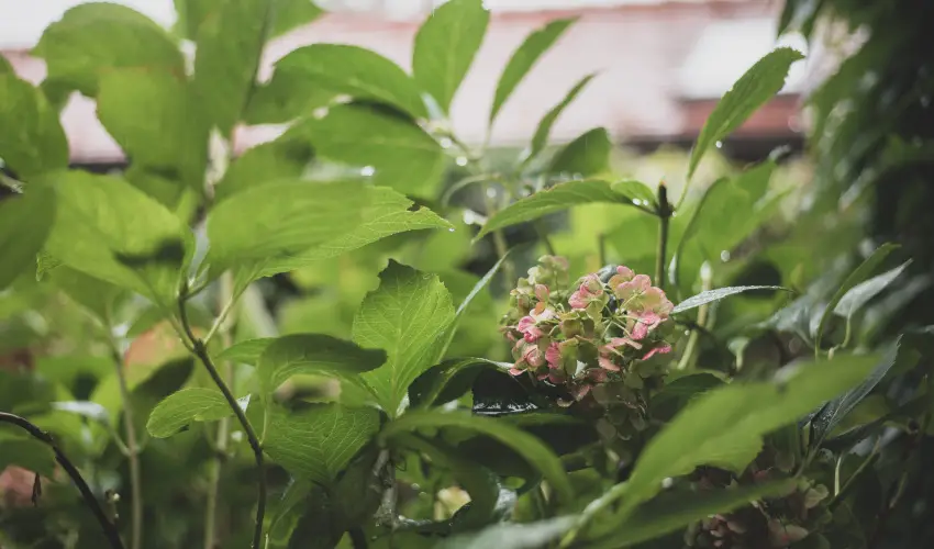 reg Prs Butikhotel Mr - Oktber 23.