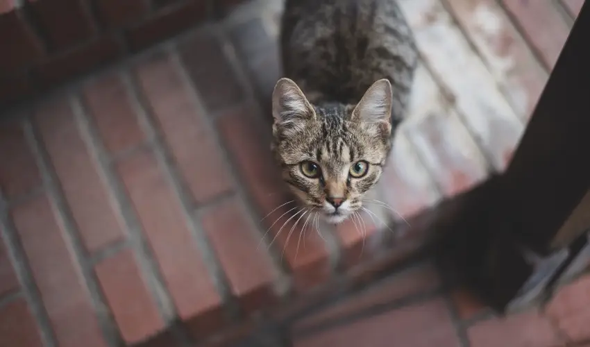 reg Prs Butikhotel Mr - Oktber 23.