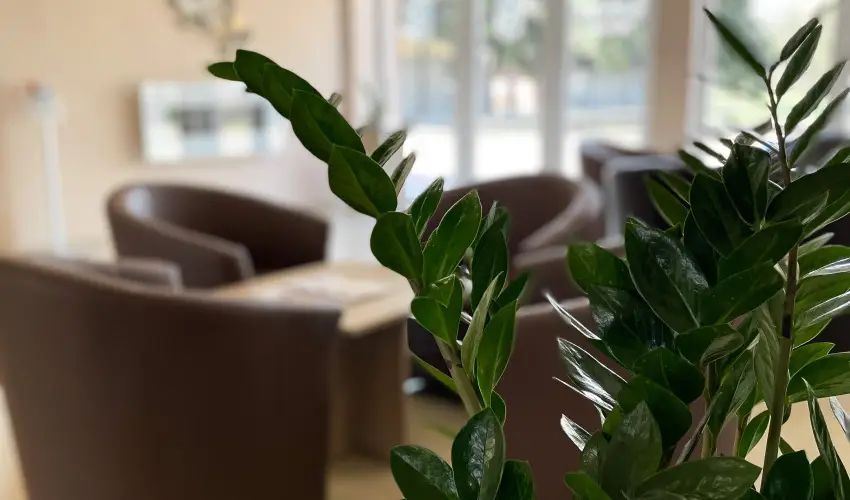 reg-t Hotel Tata - Oktber 23.