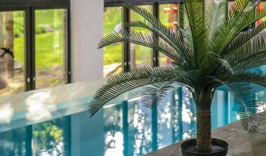 Oxig�n Family Hotel Noszvaj - Okt�ber 23. - teljes el�refizet�ssel (min. 2 �j)