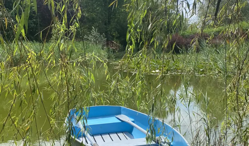 Palcliget Vendghz Ktbodony - Oktber 23. (min. 2 j)