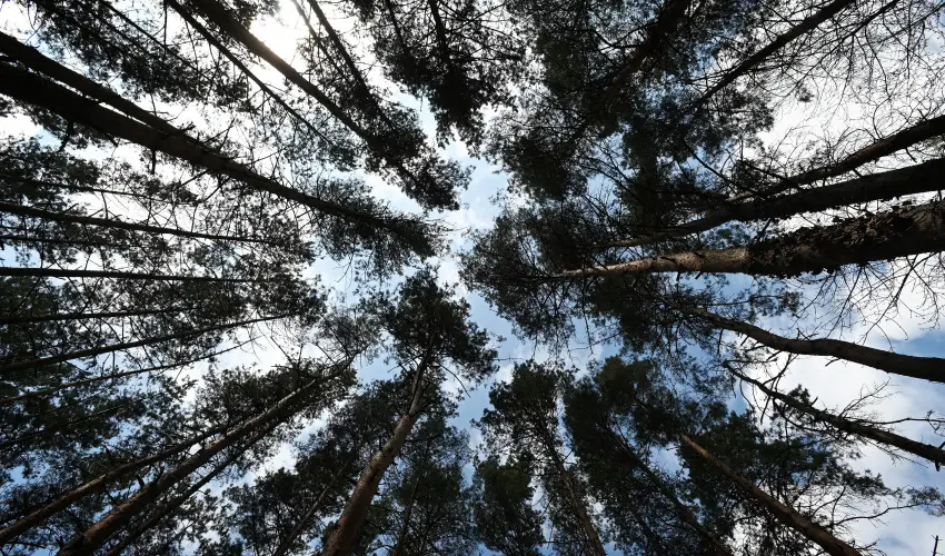 Panorma Hotel Noszvaj Noszvaj - Oktber 23. 