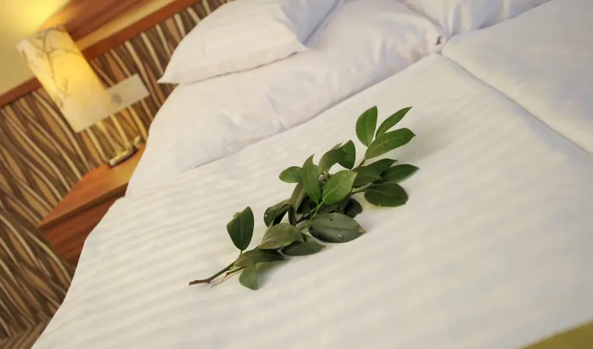 Park Hotel Gyula Gyula - Oktber 23. (min. 3 j)