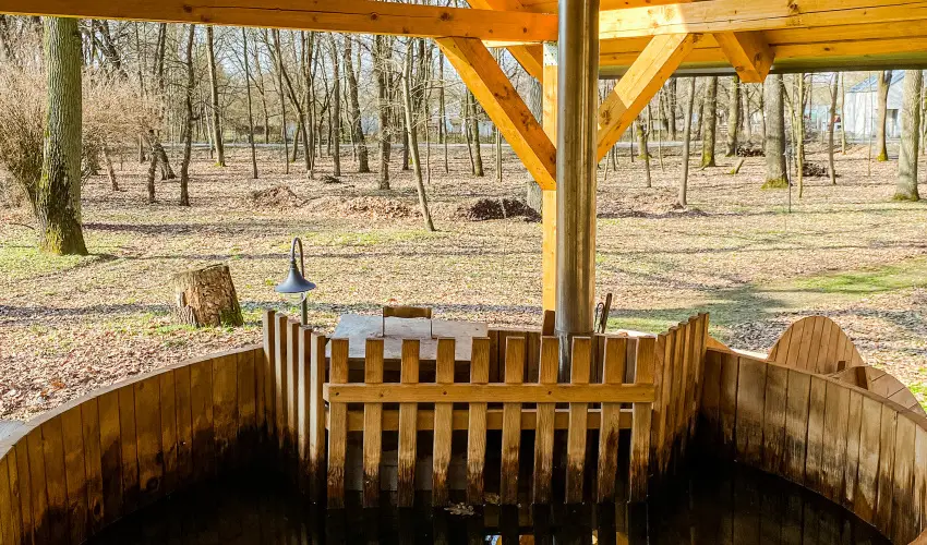 Park Hotel Sst Nyregyhza - Oktber 23. - teljes elrefizetssel