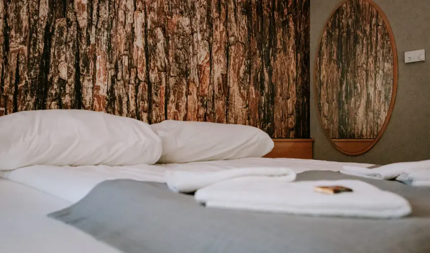 Park Hotel Sst Nyregyhza - Oktber 23. - teljes elrefizetssel