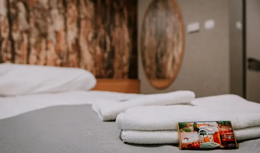 Park Hotel Sst Nyregyhza - Oktber 23. - teljes elrefizetssel