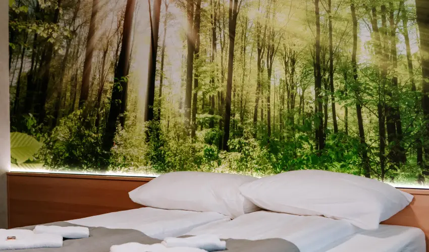 Park Hotel Sst Nyregyhza - Oktber 23. - teljes elrefizetssel