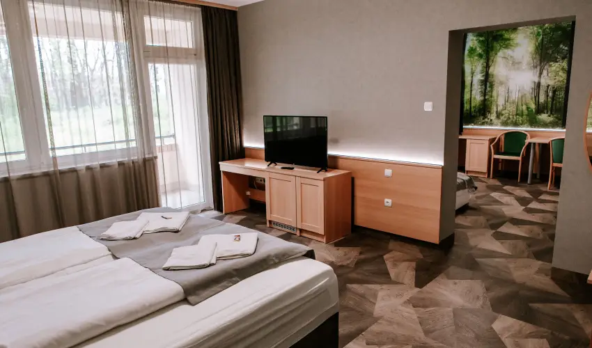 Park Hotel Sst Nyregyhza - Oktber 23. - teljes elrefizetssel