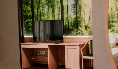 Park Hotel Sst Nyregyhza