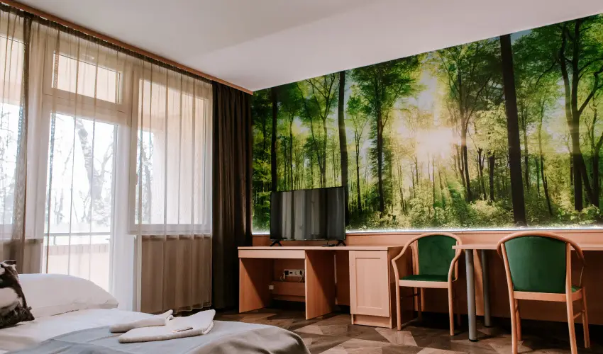 Park Hotel Sst Nyregyhza - Oktber 23. - teljes elrefizetssel