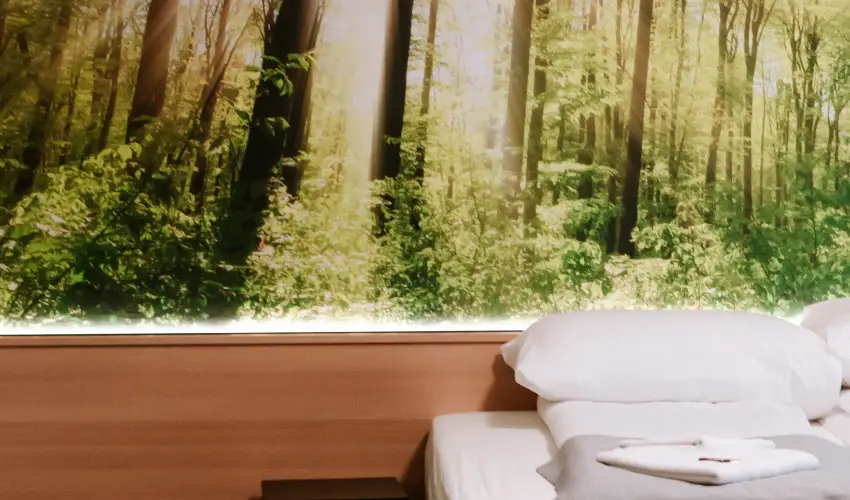 Park Hotel Sst Nyregyhza - Oktber 23. - teljes elrefizetssel