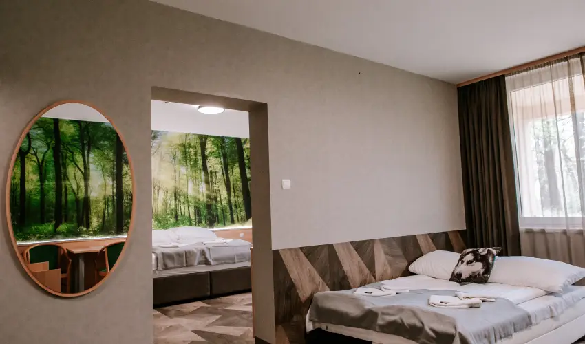 Park Hotel Sst Nyregyhza - Oktber 23. - teljes elrefizetssel