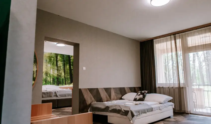 Park Hotel Sst Nyregyhza - Oktber 23. - teljes elrefizetssel