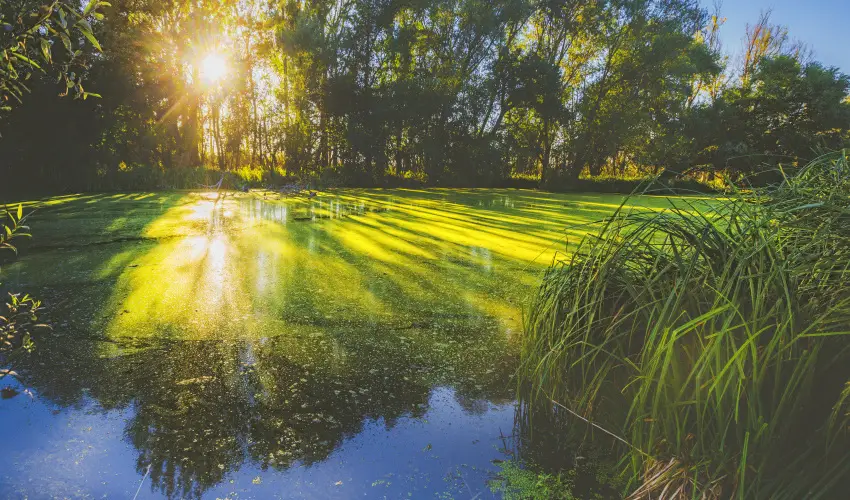 Park Inn by Radisson Zalakaros Resort & Spa Zalakaros - Okt�ber 23.