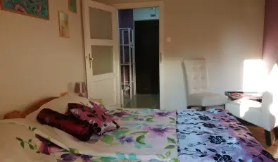 Parrag Panzi Mtraszentimre