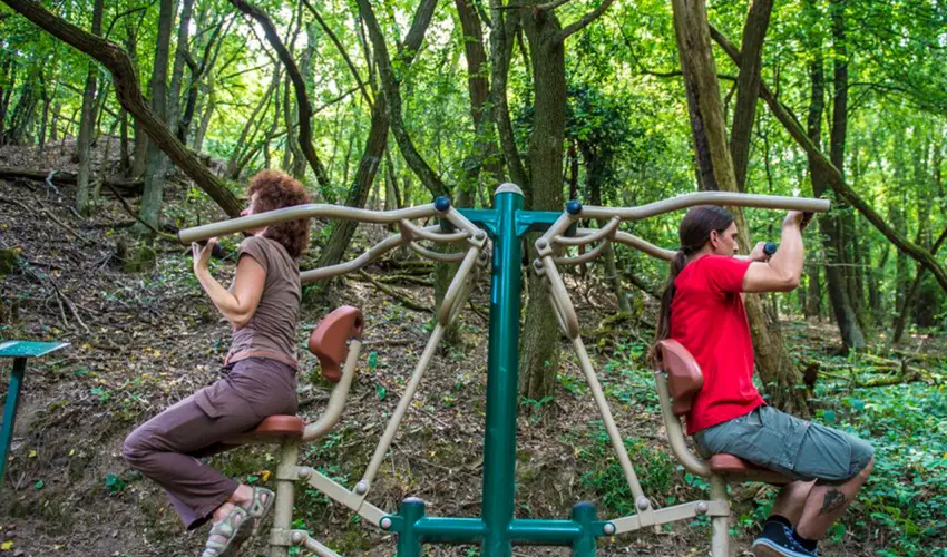 Patak Park Hotel Visegrd - Oktber 23.