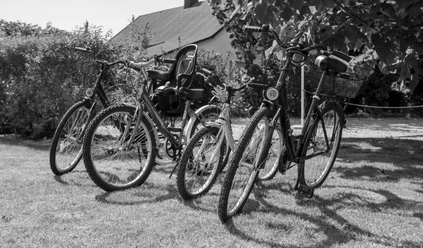 Pelso Panzi� Balatonm�riaf�rd� - Okt�ber 23. (min. 3 �j)