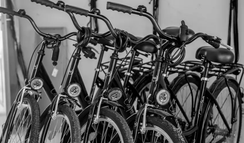 Pelso Panzi� Balatonm�riaf�rd� - Okt�ber 23. (min. 3 �j)