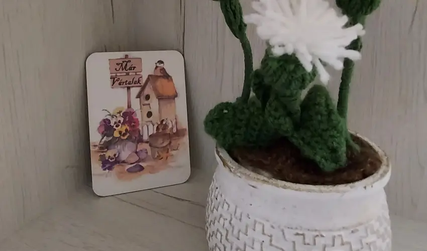 Pitypang Apartman Eger - Oktber 23. (min. 2 j)