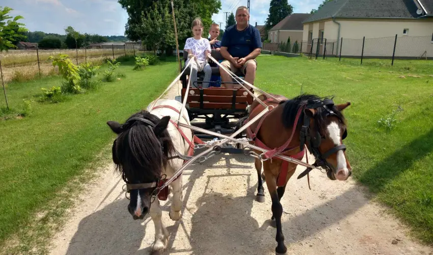 Pni Kuck Vendghz s Minifarm  Hosszvlgy - Oktber 23.