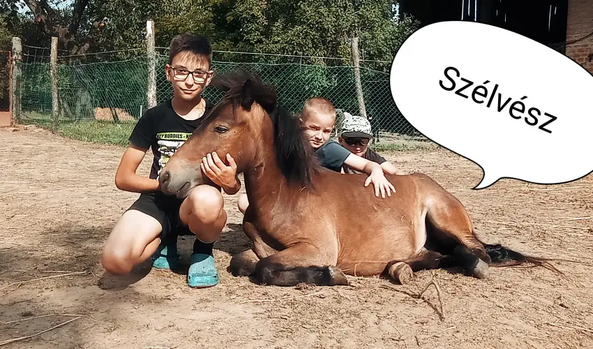 Pni Kuck Vendghz s Minifarm  Hosszvlgy - Oktber 23.