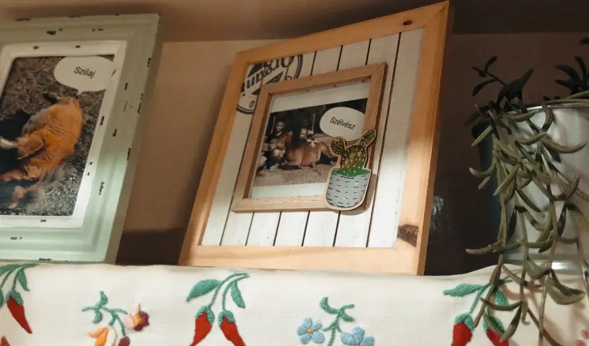 Pni Kuck Vendghz s Minifarm  Hosszvlgy - Oktber 23.