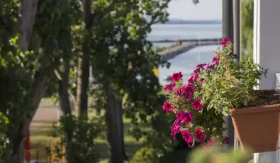 Port tterem & Panzi Balatonmriafrd