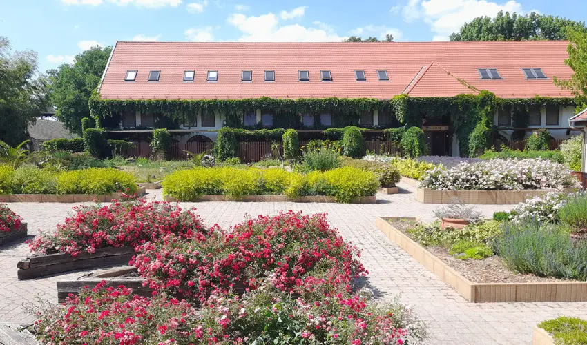 Puchner Kast�lysz�ll� Bikal - Okt�ber 23. (min. 2 �j)