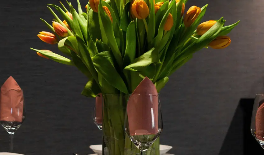 R31 Residence Srvr - Oktber 23. (min. 2 j)