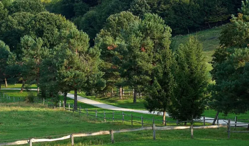 Rcz Tanya Orf - Oktber 23. (min. 2 j)