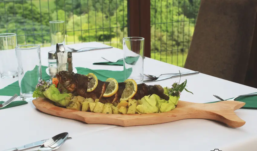 Rcz Tanya Orf - Oktber 23. (min. 2 j)