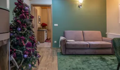 reBORONA Vendghz rsg riszentpter