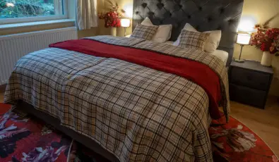 reBORONA Vendghz rsg riszentpter